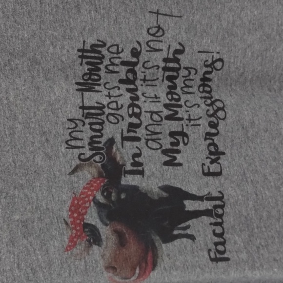 Gildan heifer cow graphic tee Gray size large facial expressions women's fit - Picture 4 of 5